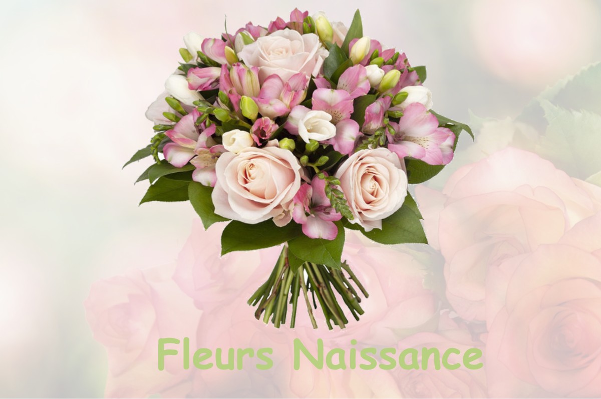 fleurs naissance LA-HOUSSAYE-EN-BRIE